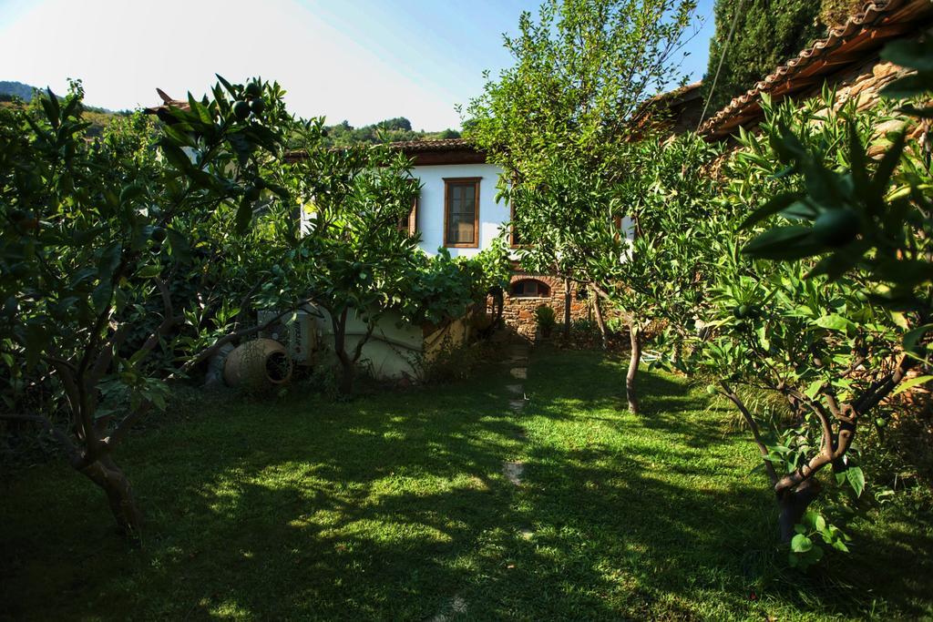 Terrace Houses Sirince Selçuk Esterno foto