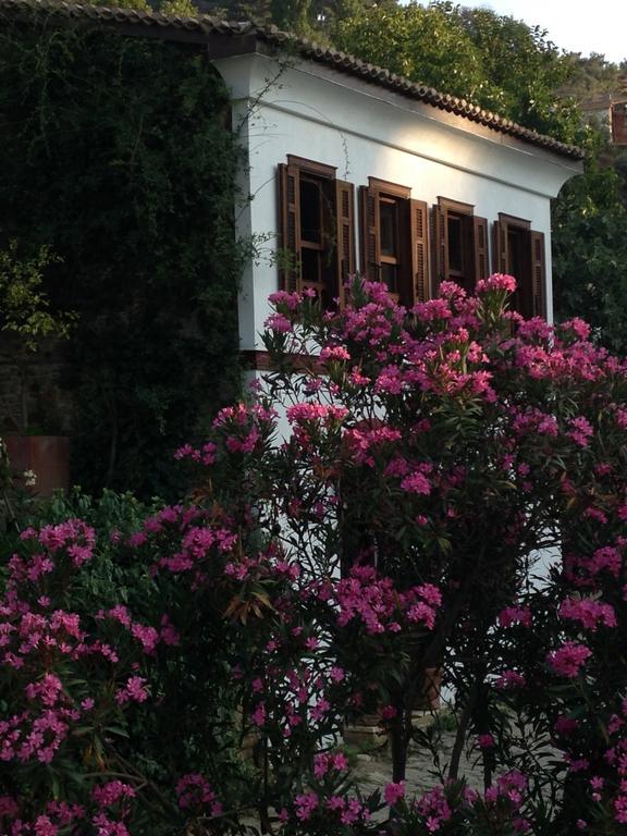 Terrace Houses Sirince Selçuk Esterno foto