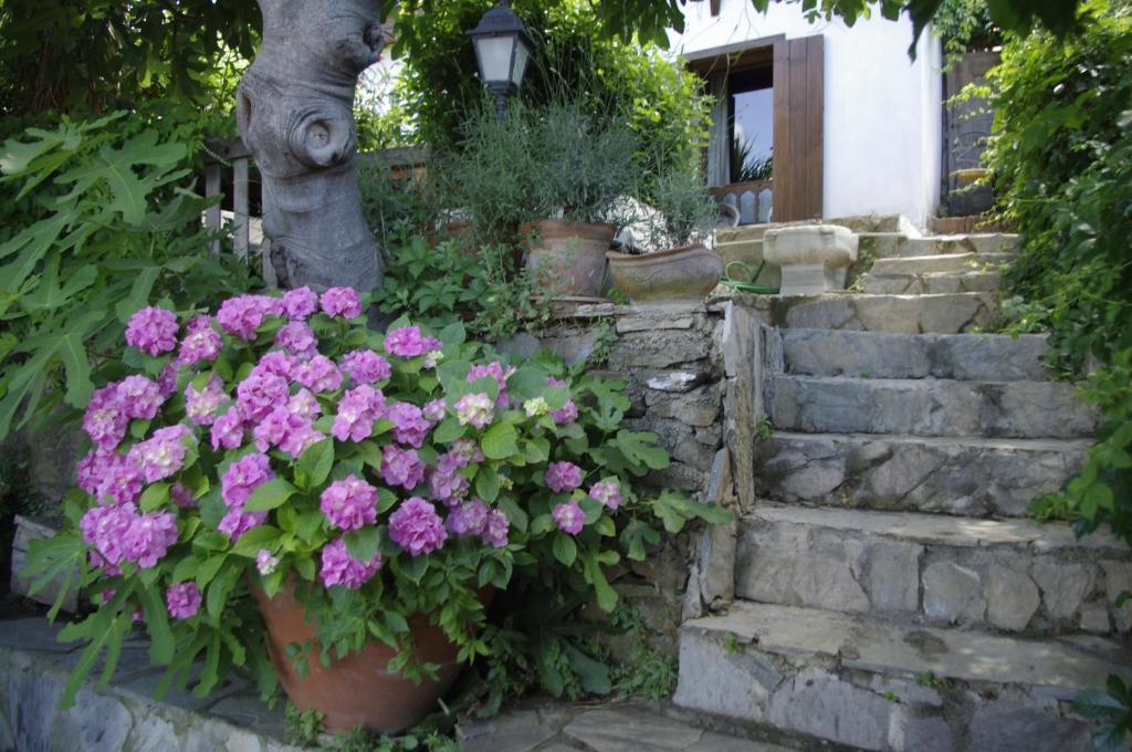Terrace Houses Sirince Selçuk Camera foto